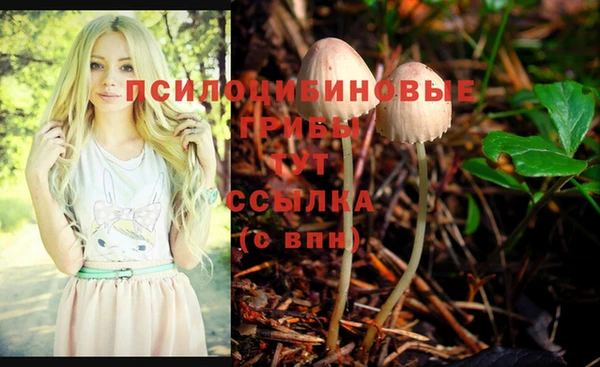 синтетический гашиш Краснотурьинск
