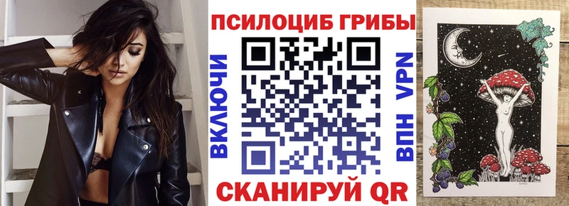 Купить закладки  Новоуральск  Псилоцибиновые грибы мицелий 